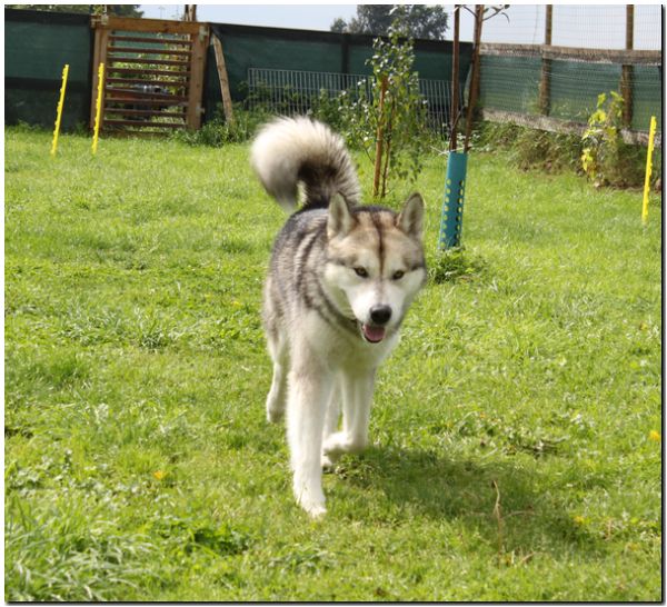 Besuch Nanooq 110.jpg